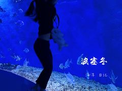 -哈尔滨波塞冬海底世界