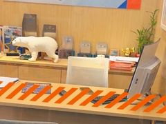 -斯坦星球AI编程·机器人科创·科学实验·信奥·思维·STEM·乐高·竞赛考级(长宁虹桥大融城荟聚中心)