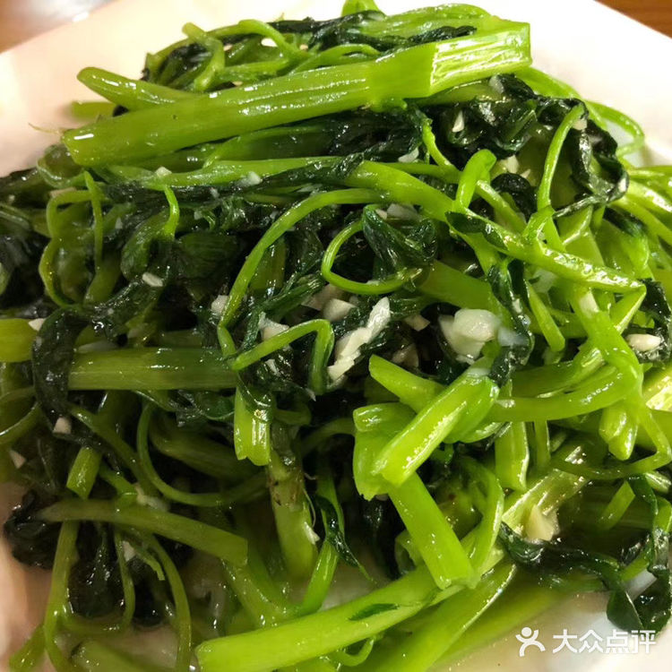 figo南宁行-肥螺庄