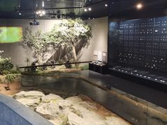 -北京周口店北京人遗址博物馆