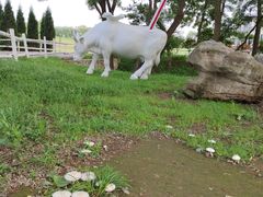 -大连铭湖国际观光牧场
