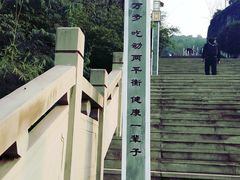 -铁山坪森林公园