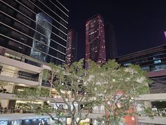 -深圳湾万象城(南山店)