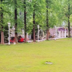 -糖果baby儿童摄影定制馆(外景店)