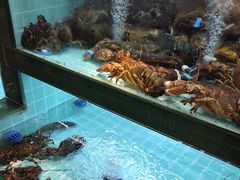 -燃燃小黄鱼(隆昌店)