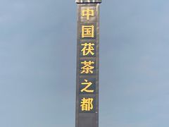 -茯茶镇