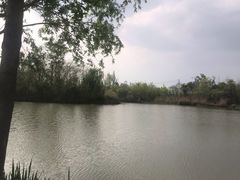 -白鹭湾湿地公园