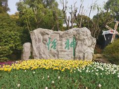 -上海鲜花港