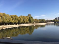 -长春世界雕塑园冰雪艺术天地