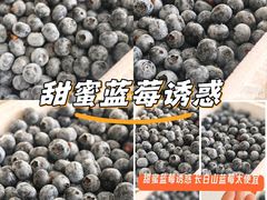 -长白山万达国际度假区