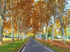 -河南省黄河迎宾馆