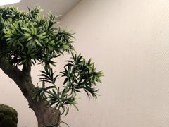 -点心传说·粤菜点心(佐阾虹湾店)