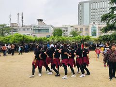 -嘉定紫藤园