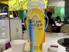 霸气金杯凤梨百香果-奈雪的茶(市百一店)