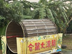 -麻涌飞鸭开心农场