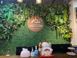 -小熊维尼高端儿童摄影(南山店)