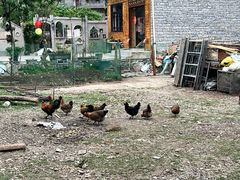 -高荡千年布依古寨旅游景区