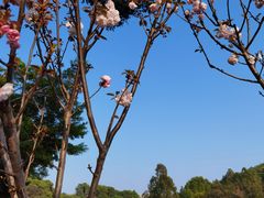 -观澜湖生态运动公社