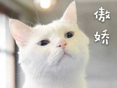 -iFood甜嫩嫩(江东北路店)