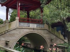 -龙潭水乡