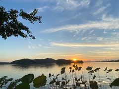 -东湖落雁景区