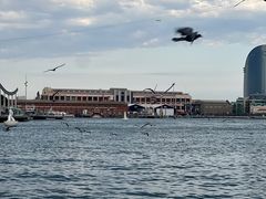 -小巴塞罗那海滩