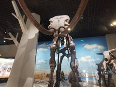 -国家自然博物馆