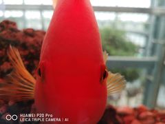 -南通洲际绿博园