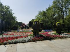 -沈阳植物园
