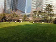 -静安公园(静安寺街道)