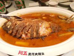 红烧黄河鲤鱼-阿五黄河大鲤鱼(英协路店)