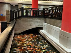 -龙悦湾酒家·八阵鱼生·渔人码头店