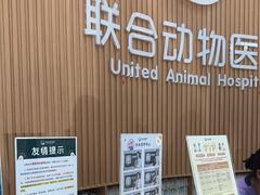 -联合动物医院(光谷诊疗中心)
