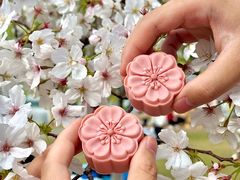 -珈境湖畔餐厅·湖北菜·江浙菜•樱花季(西北湖店)