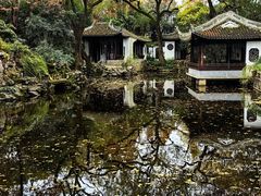 -秋霞圃