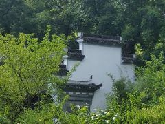 -菱湖风景区