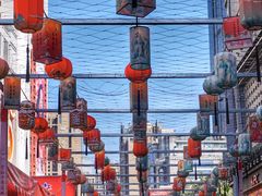 -越秀西湖花市(广州城市广场花卉店)