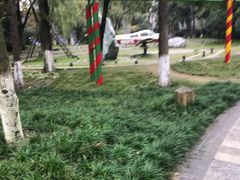 -成飞公园