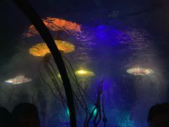 -沈阳海洋探索中心