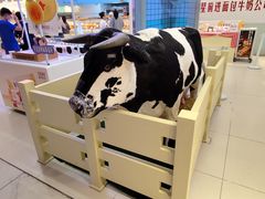 -红星前进面包牛奶公司(君太店)