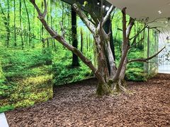 -极简口腔(总院)