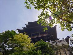 -杭州半山国家森林公园