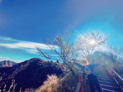 -大岭沟猕猴桃谷风景区