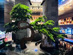 -御养源·影院式足道·按摩SPA·星级自助餐(青秀店)