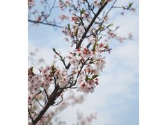 -独墅湖图书馆停车场