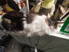 -小时光咖啡馆(北锣鼓巷店)