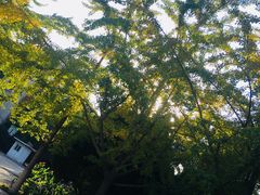 -辽宁大学(崇山校区)