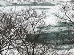 -尼亚加拉瀑布州立公园