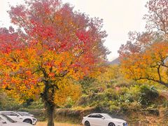 -塔川景区