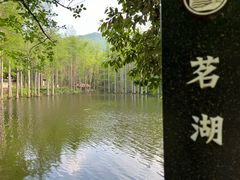 -波尔登森林公园